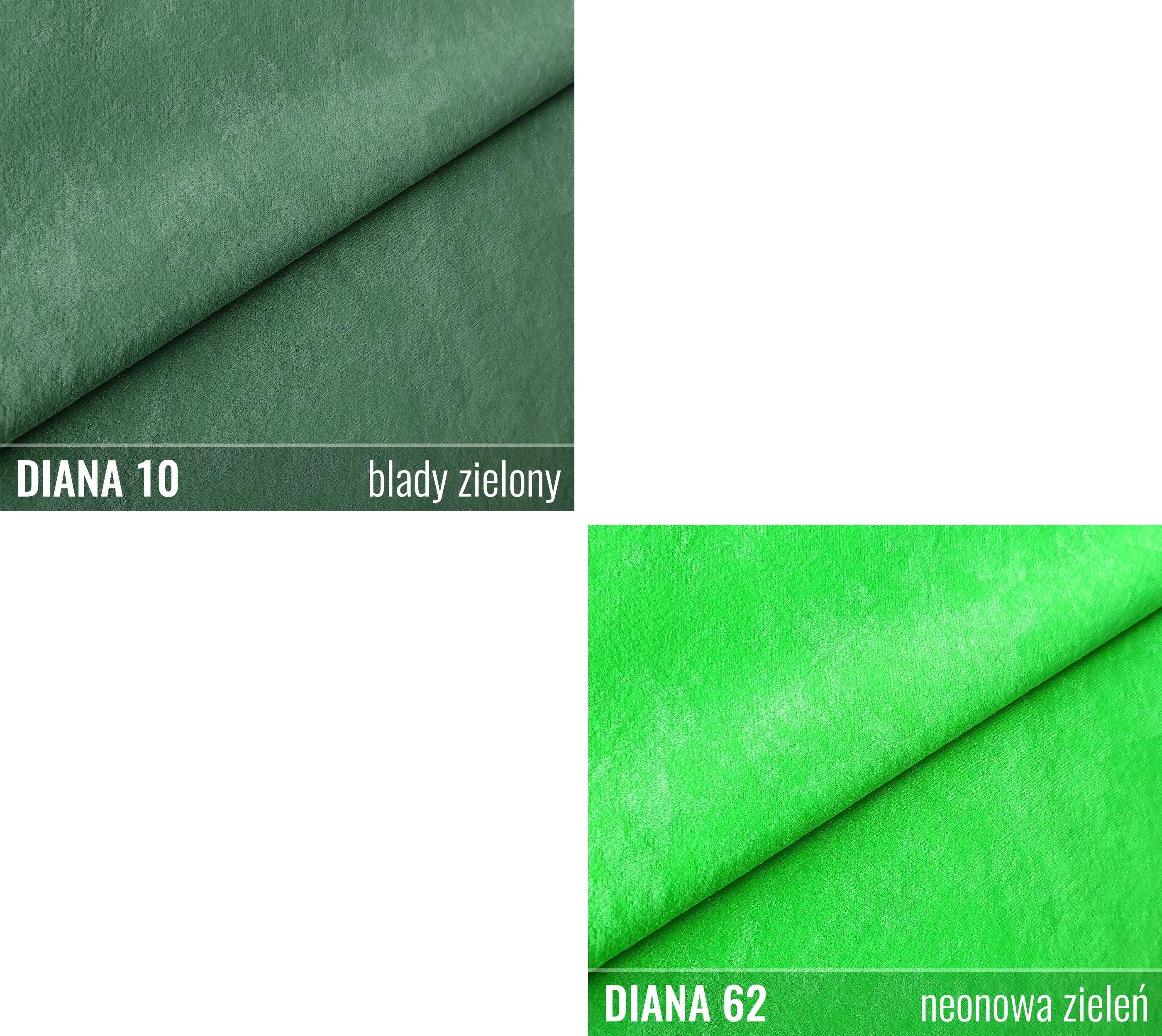 Próbnik DIANA MIKROFAZA