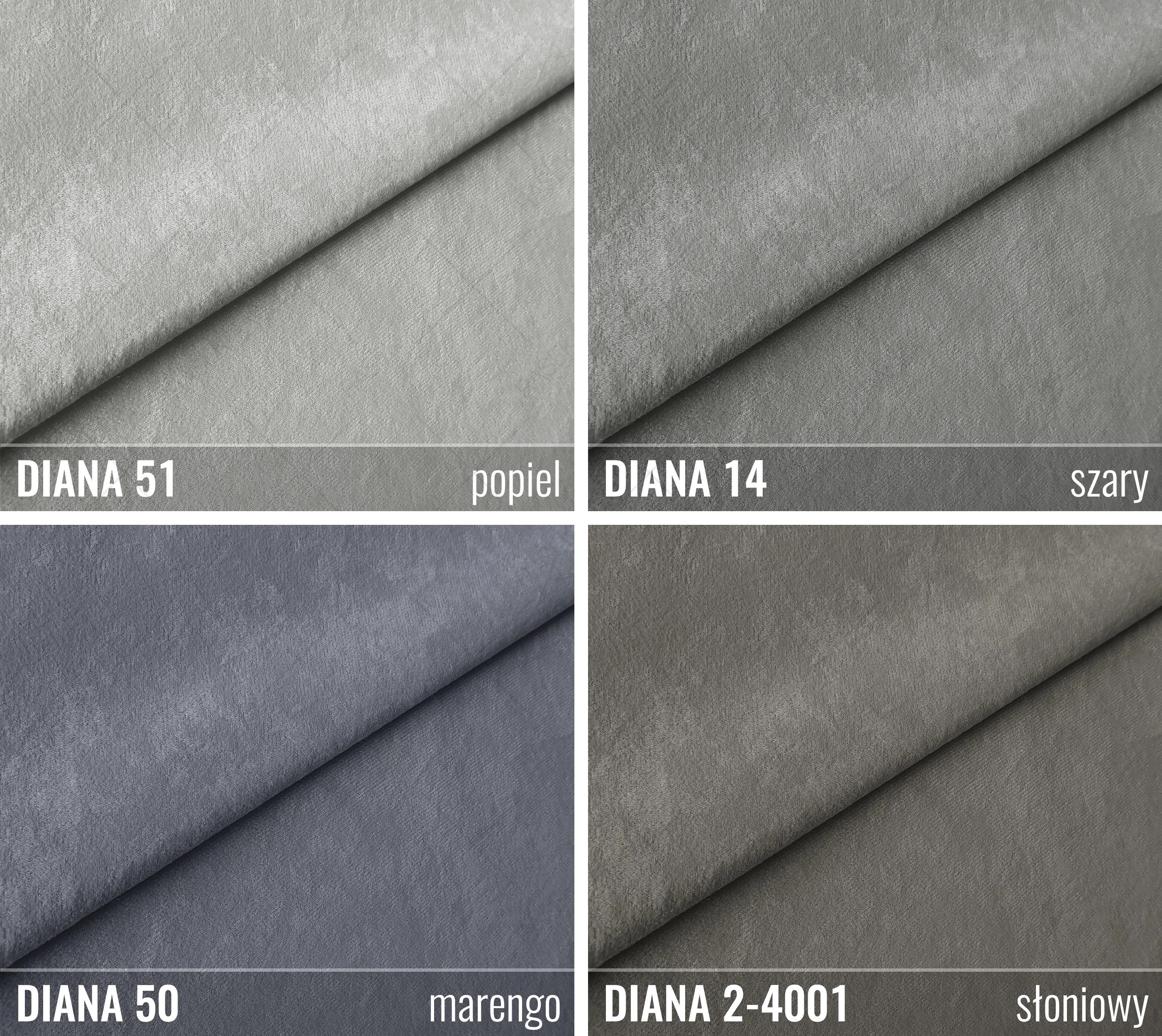 Próbnik DIANA MIKROFAZA