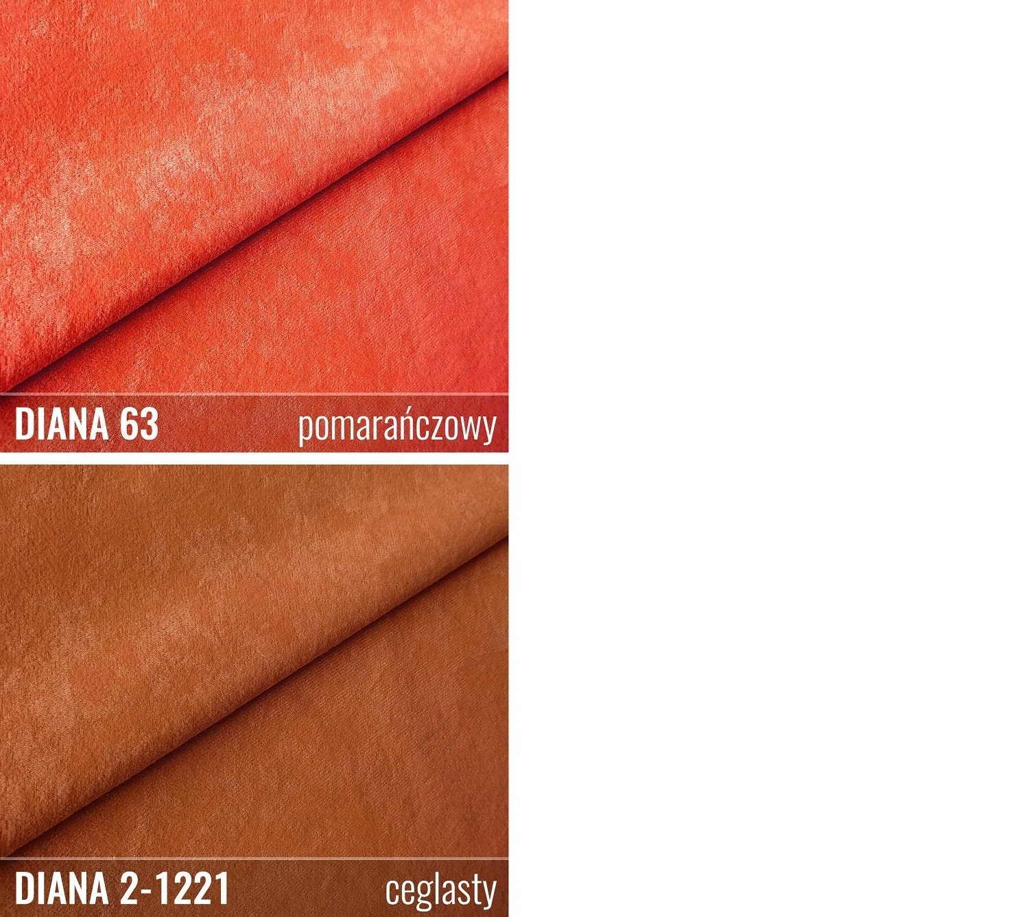 Próbnik DIANA MIKROFAZA