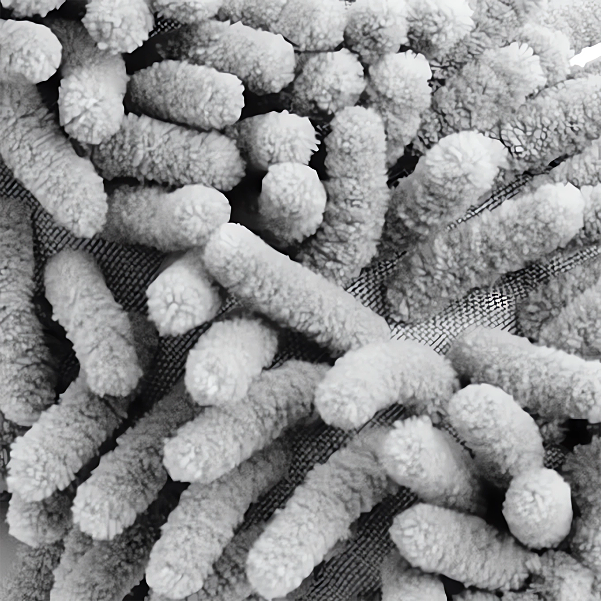 K2 Roton Pro 1L Szczotka Do Mycia Felg Płyn do Czyszczenia Kół Krwawa Felga