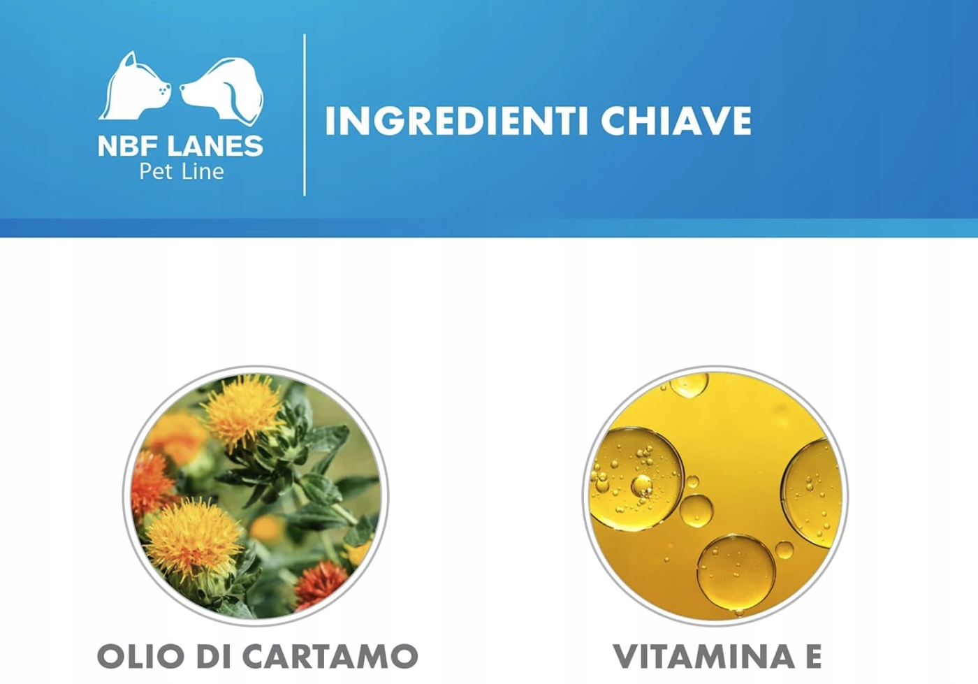 CIELLEA PET RECOVERY 30 KAPSUŁEK -  NBF Lanes