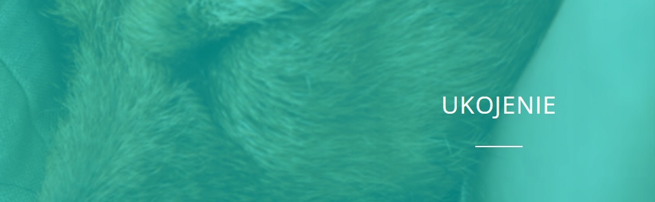 RELAXIGEN PET mini CANE e GATTO NBF Lanes 20 tabletek - SPOKÓJ Twojego KOTA