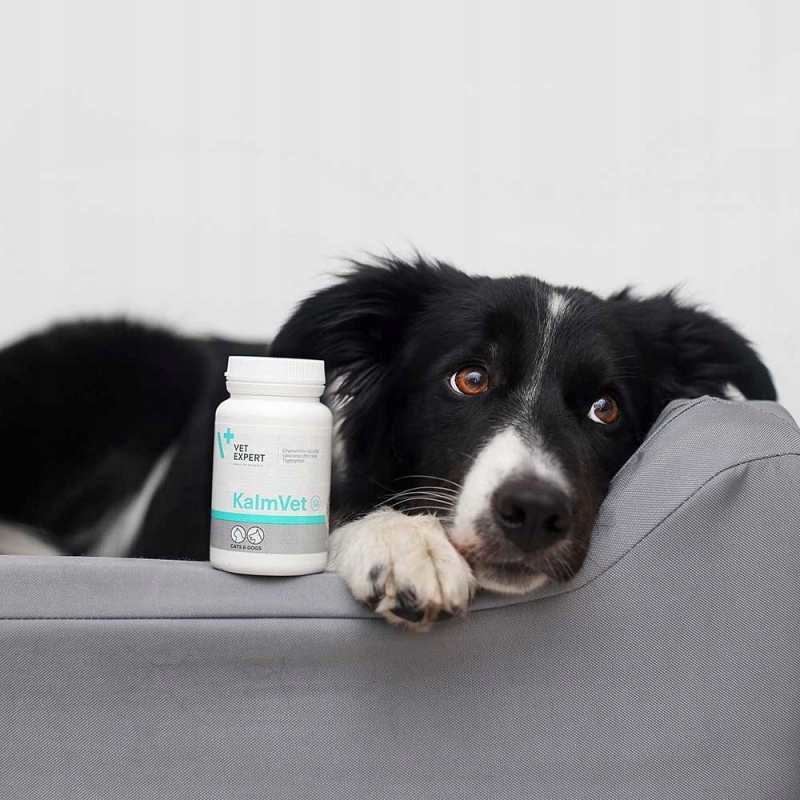 Vetexpert KalmVet TwistOff pies / kot 60 kapsułek