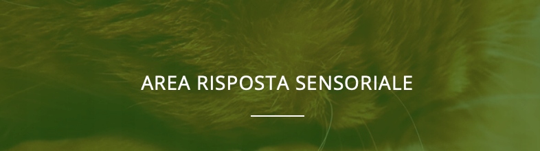 Perognidol Forte cane a gatto NBF Lanes - TABLETKI