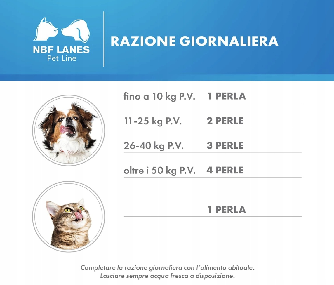 CIELLEA PET RECOVERY 30 KAPSUŁEK -  NBF Lanes