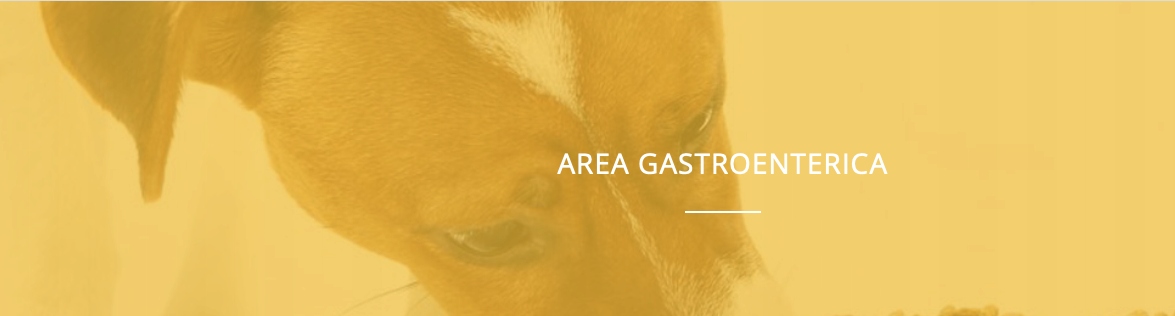 Microbiotal Cane 30 tab NBF Lanes dla psa mikroflora jelitowa