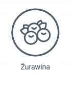 Vetexpert UrinoVet Dog 30 tabletek