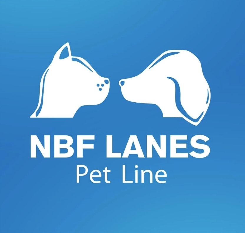 Artikrill Cane 200 kapsułek - NBF Lanes