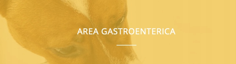 REUTERAL PET CANE NBF Lanes