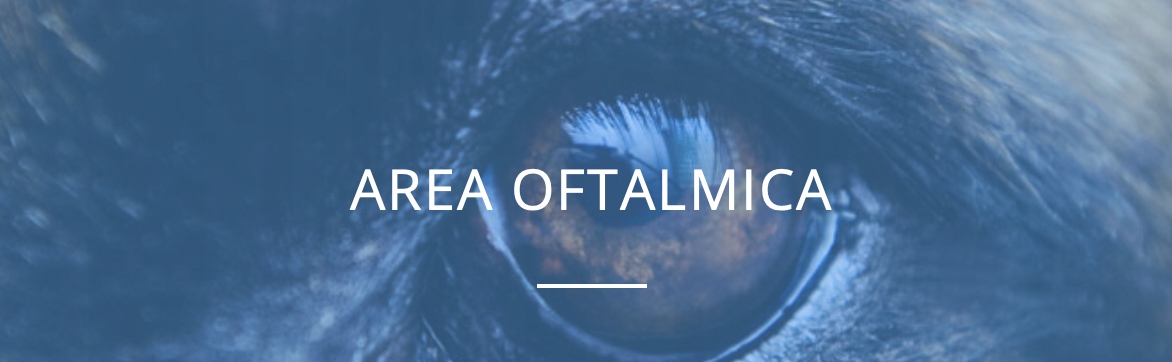 D.O.S. Pet cane e gatto NBF Lanes OCHRONA WZROKU 50 tabletek