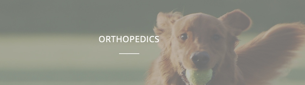 Artikrill Dol Cane 60 kaps NBF Lanes