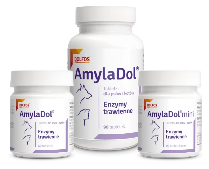 Dolfos Dolvit AmylaDol 90 tab. - enzymy trawienne