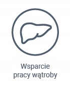 Vetexpert Hepatiale Forte Large Breed 40 tabletek