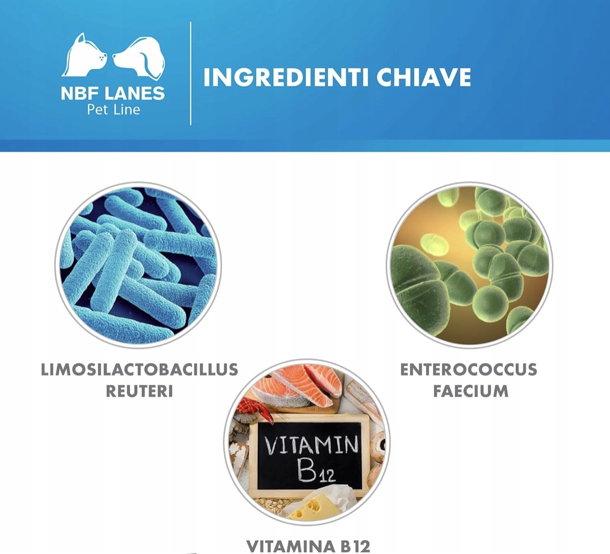 Reuteral Pet gatto NBF Lanes