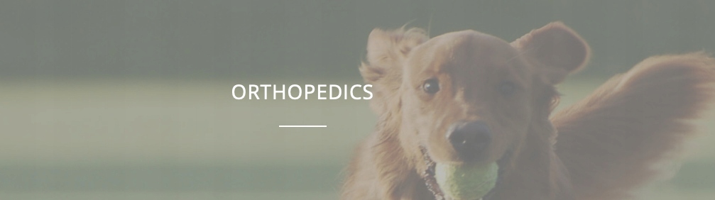 Artikrill Cane 200 kapsułek - NBF Lanes