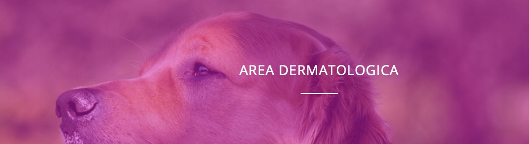 RIBES PET 80 CANE E GATTO choroby skóry 25ml z zakraplaczem NBF Lanes