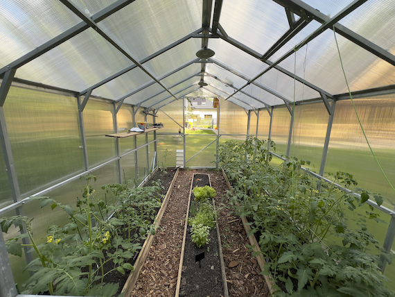 Szklarnia z poliwęglanu DOMEK 2,5x12 m profil 25x25 poliwęglan 6mm