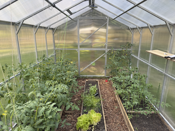 Szklarnia z poliwęglanu DOMEK 2,5x12 m profil 25x25 poliwęglan 6mm