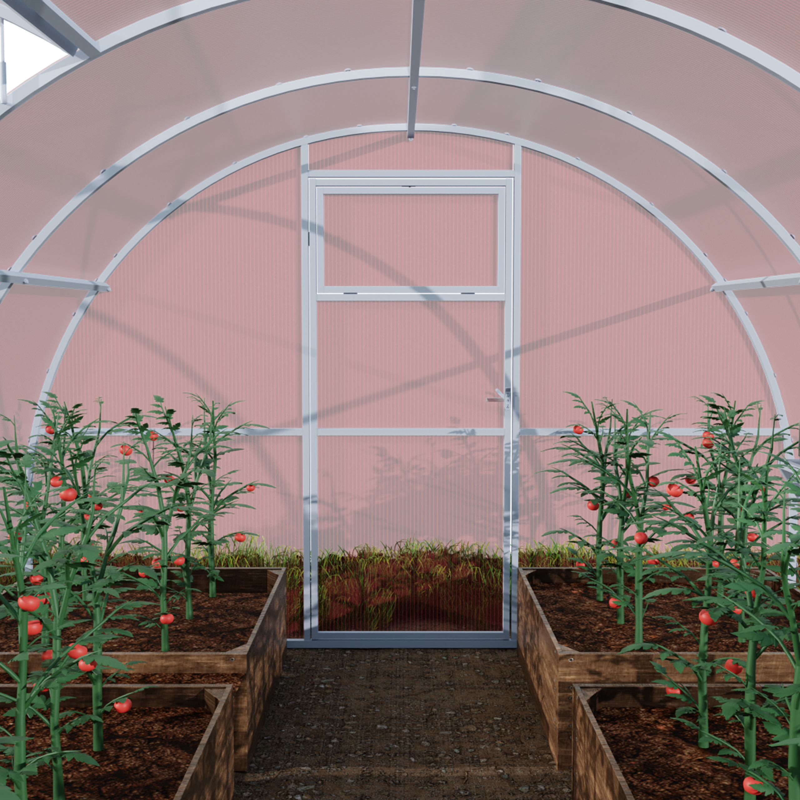 Szklarnia z poliwęglanu Tunel ogrodowy 3x2 m profile 20x20 poliwęglan różowy 4mm