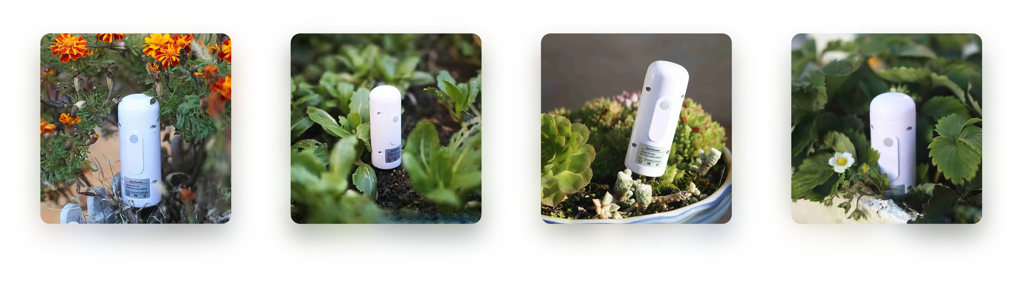 Smart Bezprzewodowy Czujnik Sonda Temperatury Wilgotności Gleby Zigbee Tuya