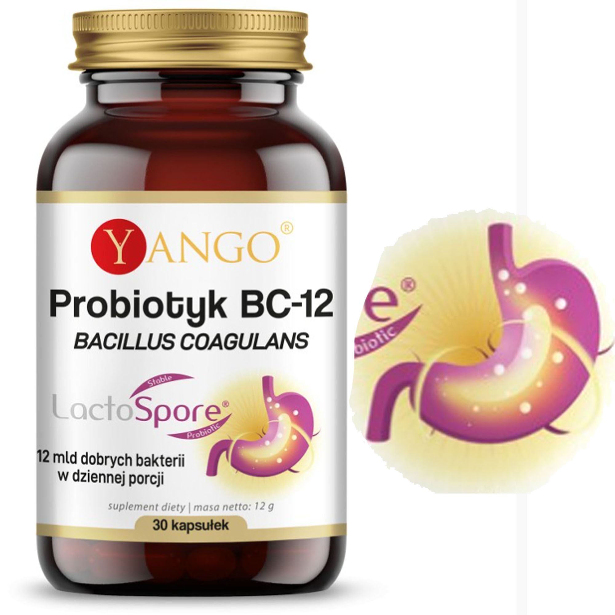 Yango PROBIOTYK BC-12 Bakterie Bacillus Coagulans 30ks wsparcie: MIKROFLORA