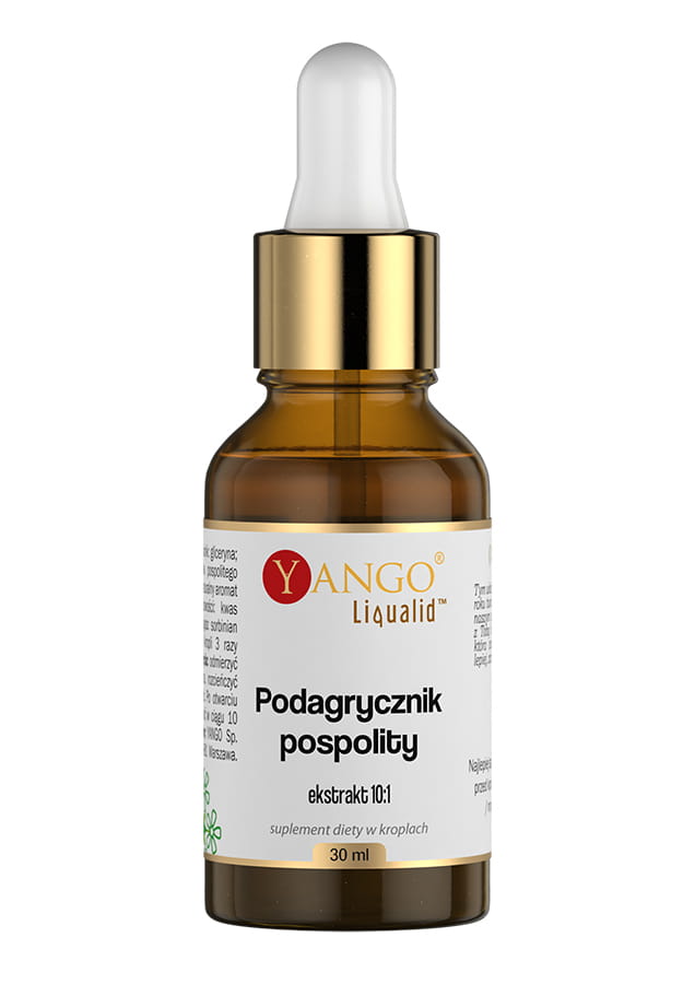 Yango PODAGRYCZNIK POSPOLITY 10:1 EKSTRAKT 30ML wsparcie: TRAWIENIE