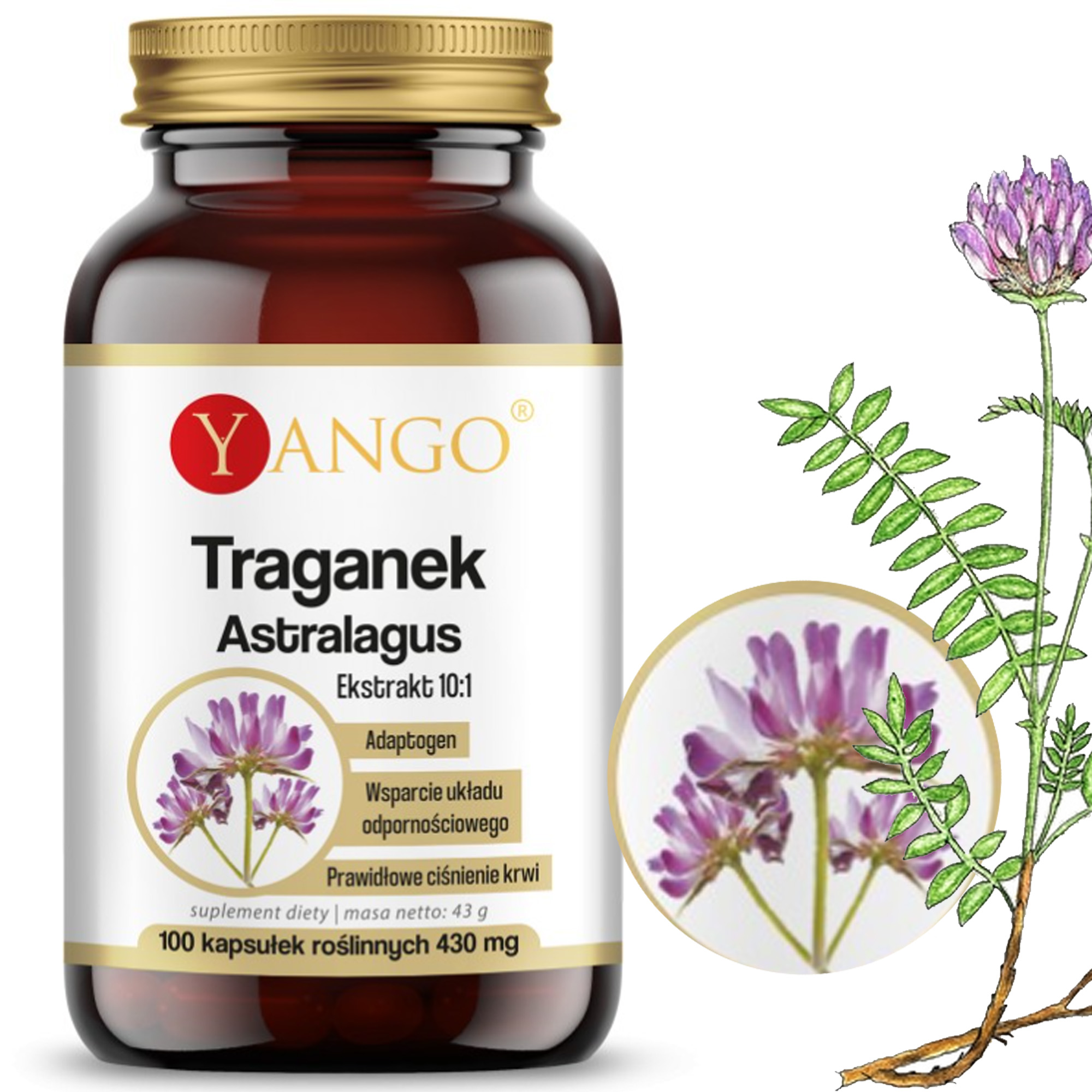 Yango TRAGANEK 100 kapsułek