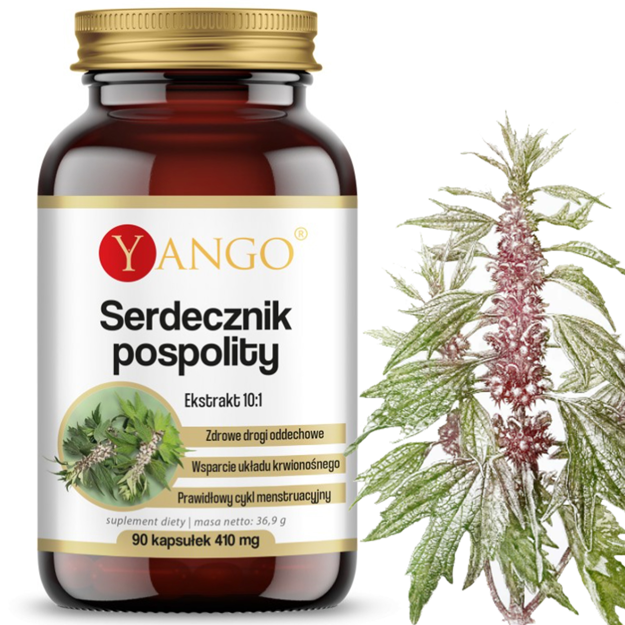 Yango SERDECZNIK POSPOLITY 90 kapsułek