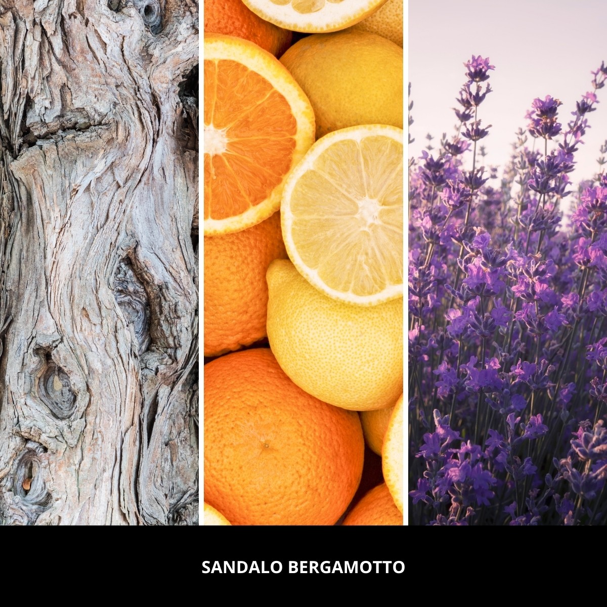 Fotografia produktu