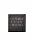 Układ P2501NZB0 P2501 — Układy scalone