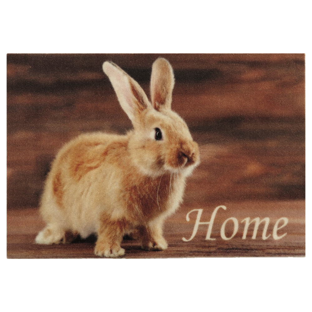 Wycieraczka do butów Muffy z motywem królika 40x60 cm - zdjęcie 1