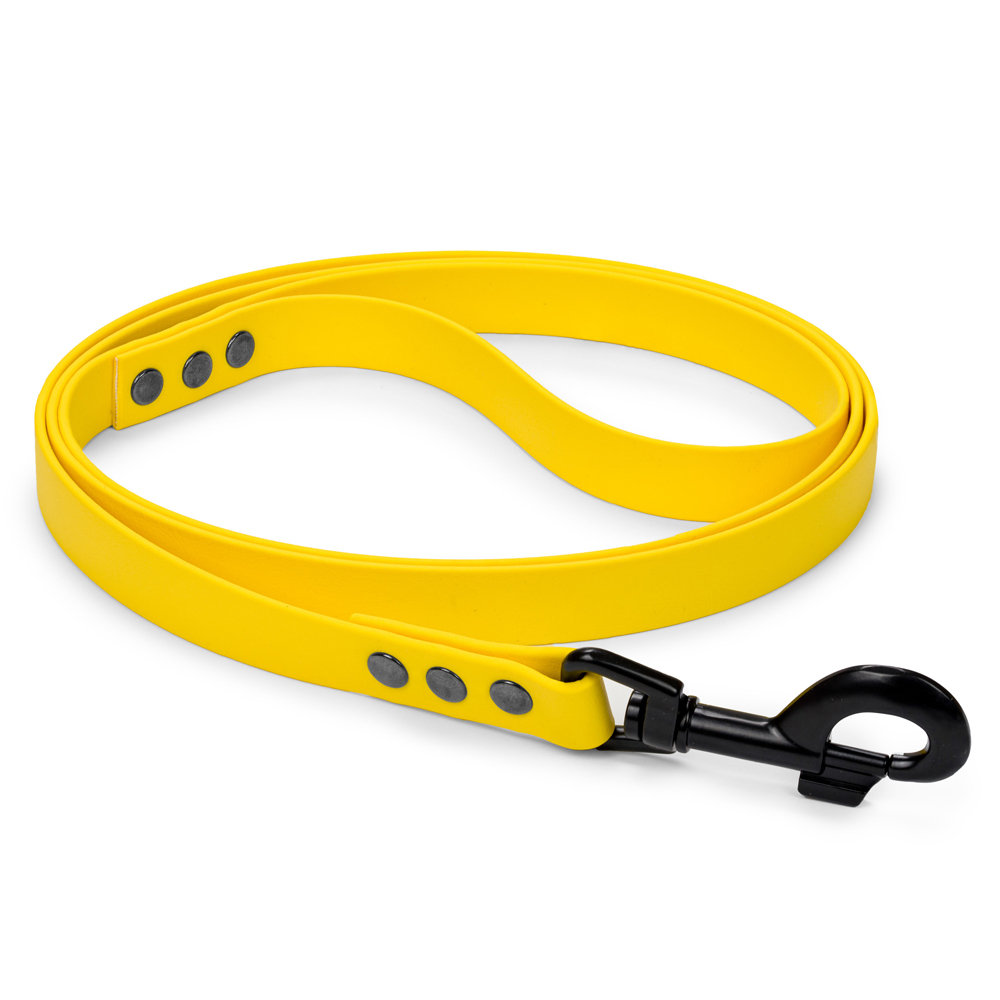 Smycz dla zwierząt Visemiss 19 mm - zdjęcie 1