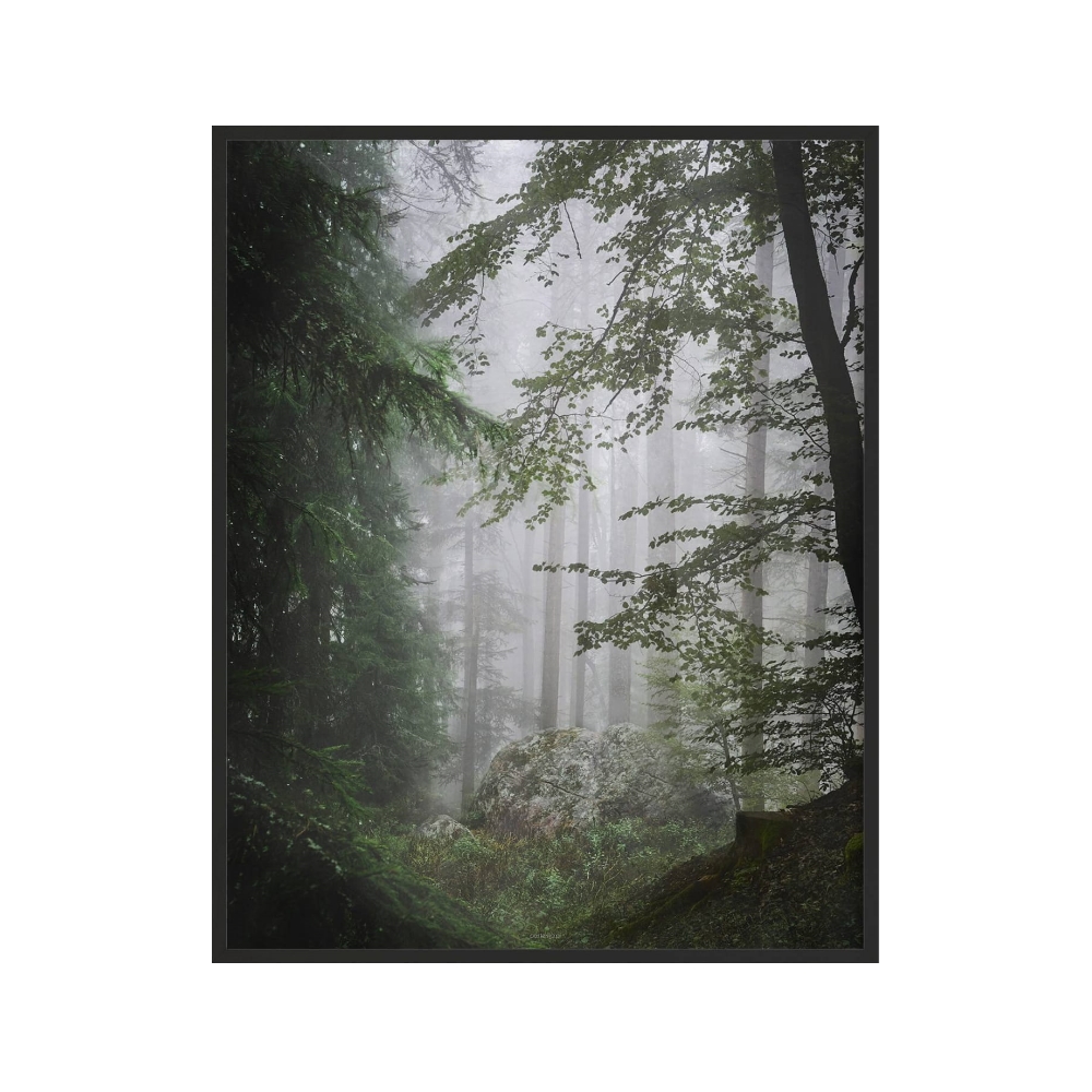 Plakat Brandine z wyborem rozmiaru i ramy - zdjęcie 1