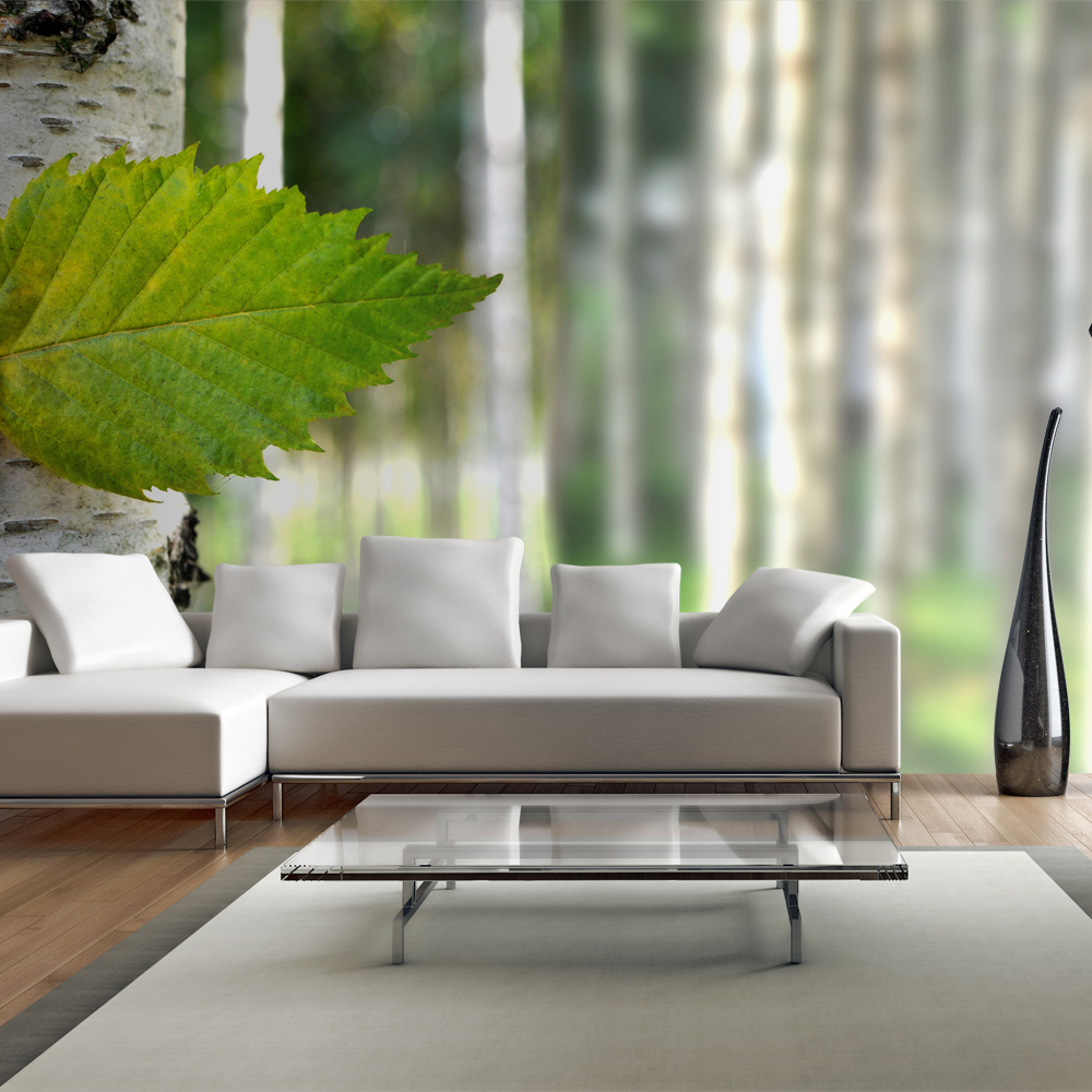 Fototapeta do biura Liść brzozy - zdjęcie 1