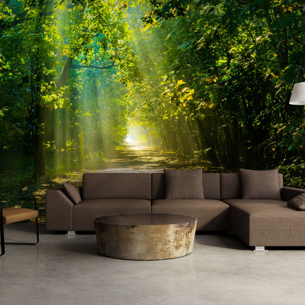 Fototapeta Droga w słońcu - zdjęcie 1