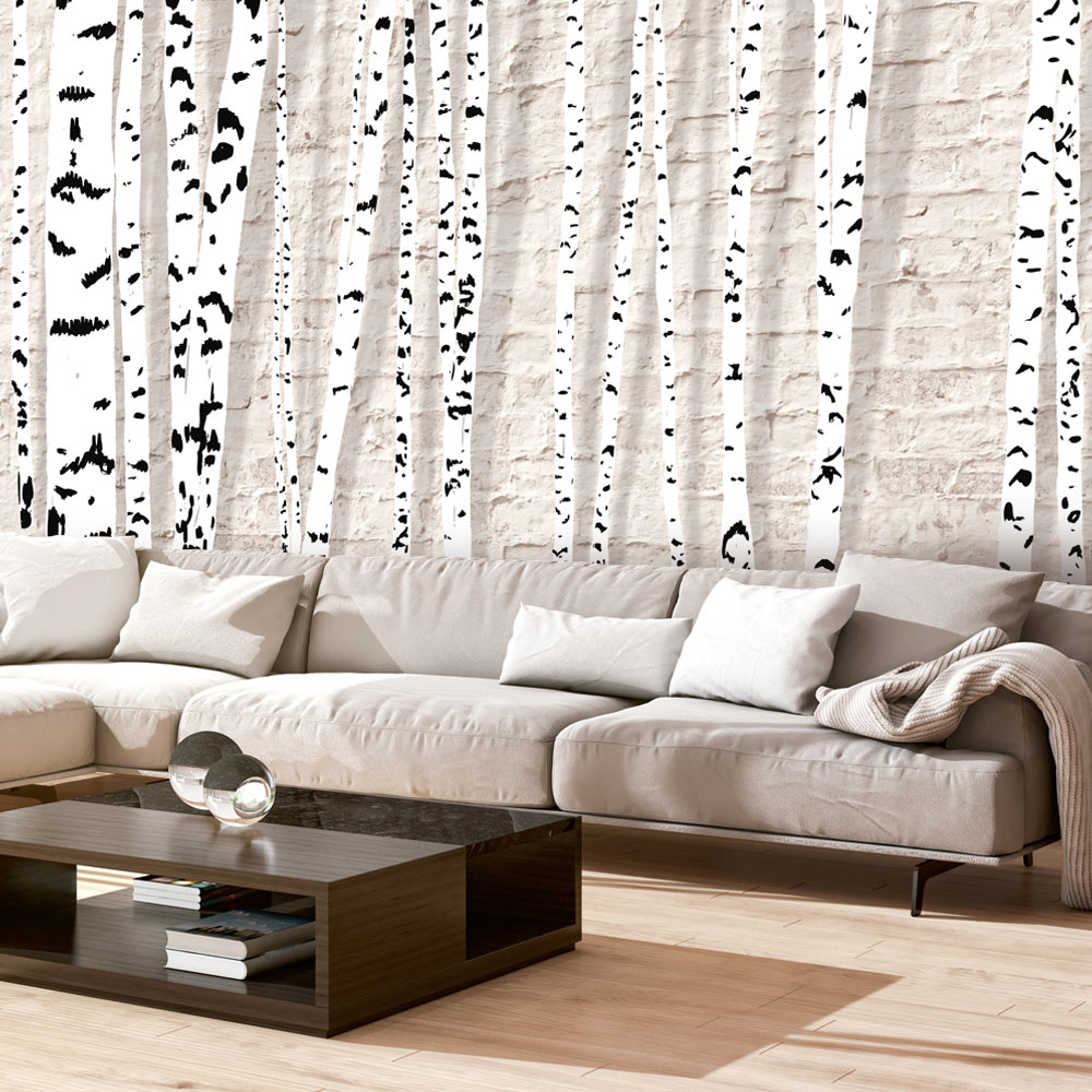 Fototapeta Brzozowy gaj - zdjęcie 1