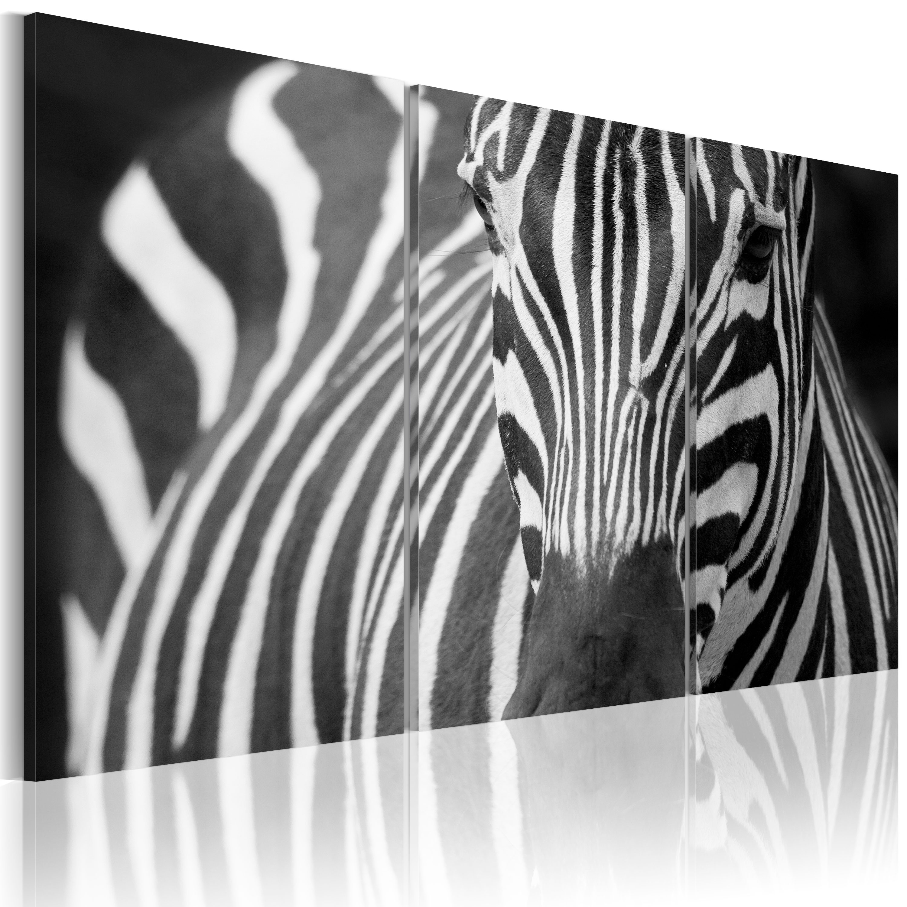 Lady Zebra 3 Piece Canvas Print 60x40 cm - zdjęcie 1