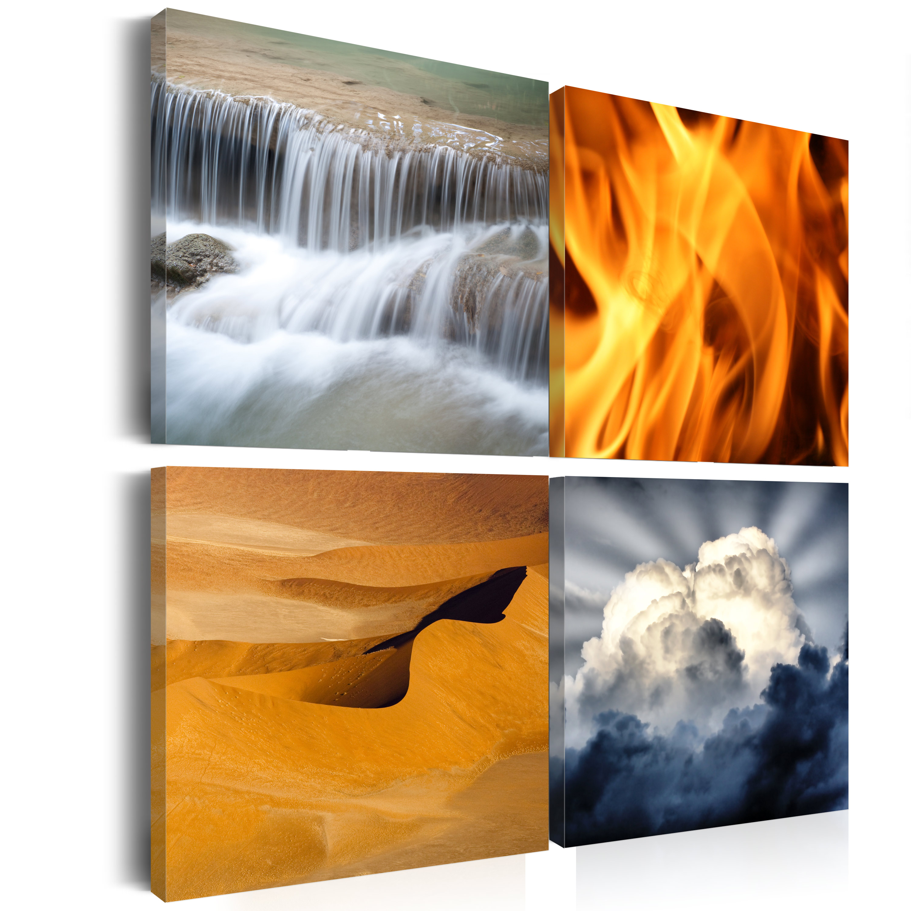 Obraz - Różnorodność przyrody 40x40 cm - zdjęcie 1