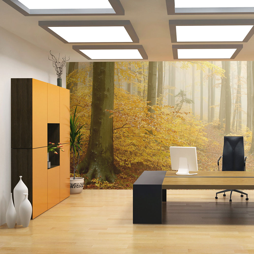 Fototapeta las jesień - zdjęcie 1