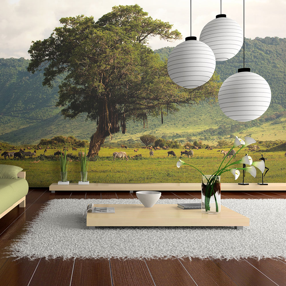 Fototapeta In a crater of Ngoro ngoro - zdjęcie 1