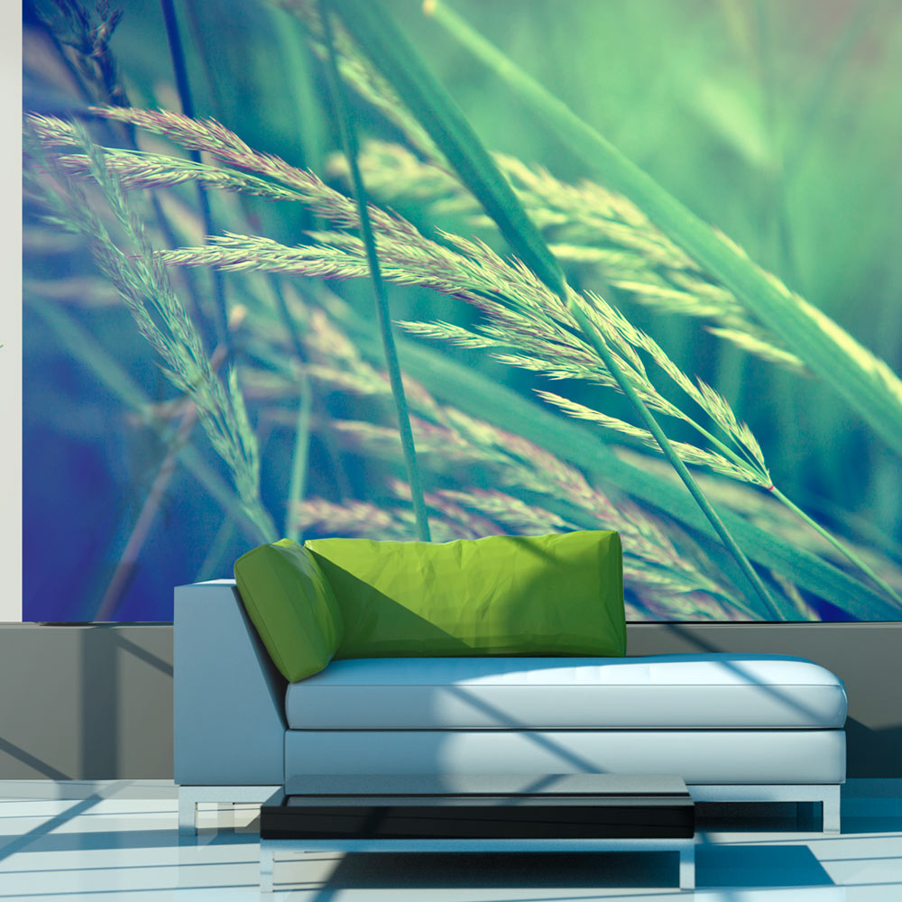 Fototapeta Cereal field - zdjęcie 1