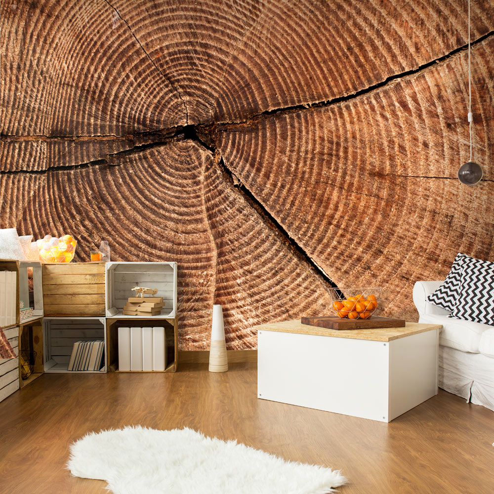 Fototapeta Przekrój pnia drzewa - zdjęcie 1