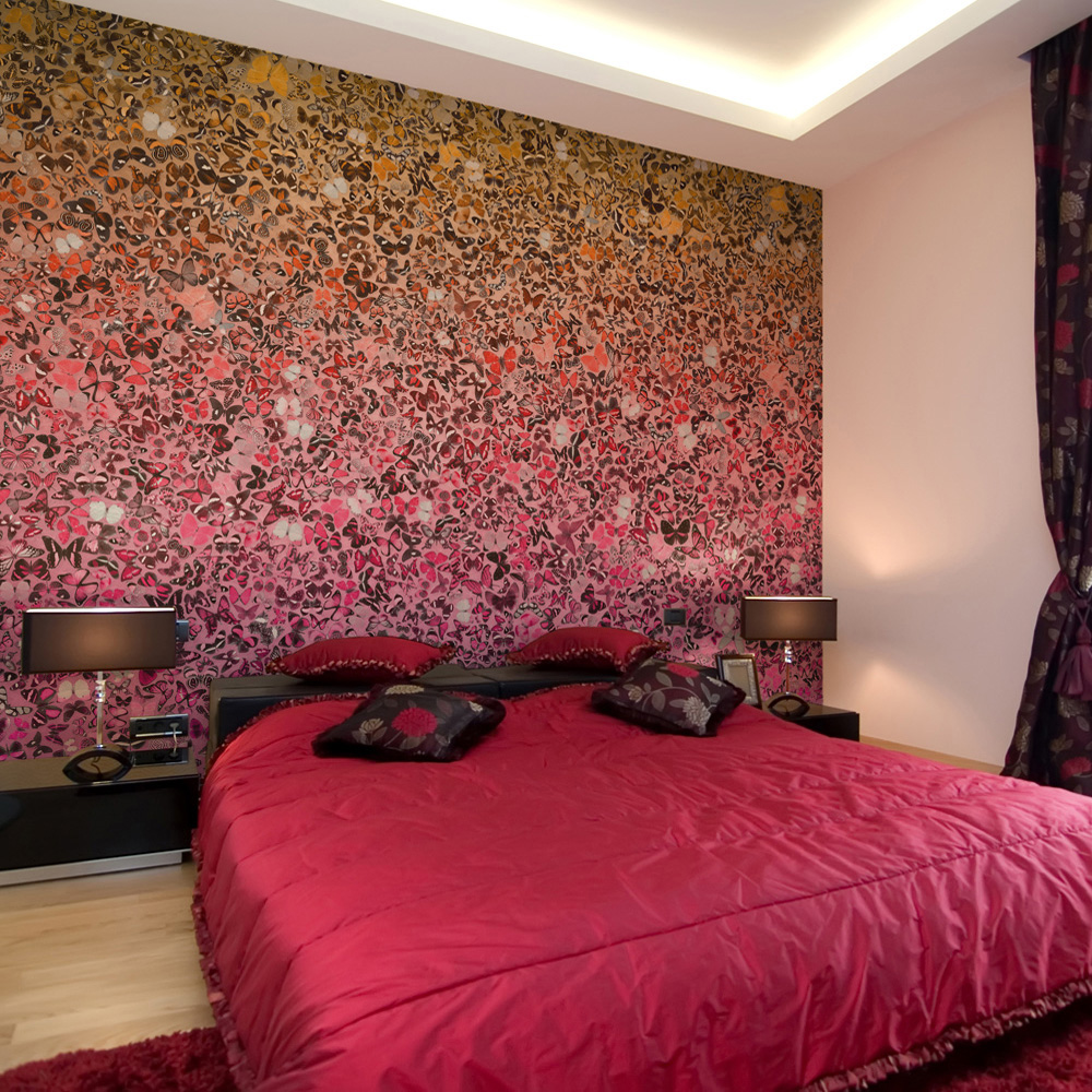 Fototapeta Język motyli - zdjęcie 1