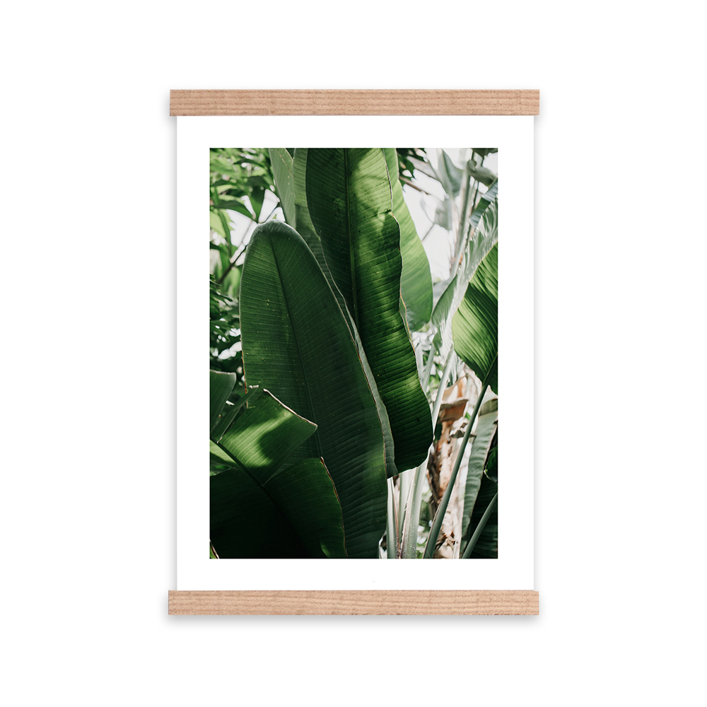 Plakat Kisla z wyborem rozmiaru i ramy - zdjęcie 1