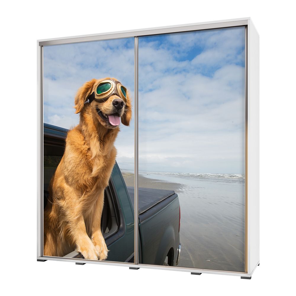 Szafa Wenecja 205 cm Labrador w samochodzie - zdjęcie 1