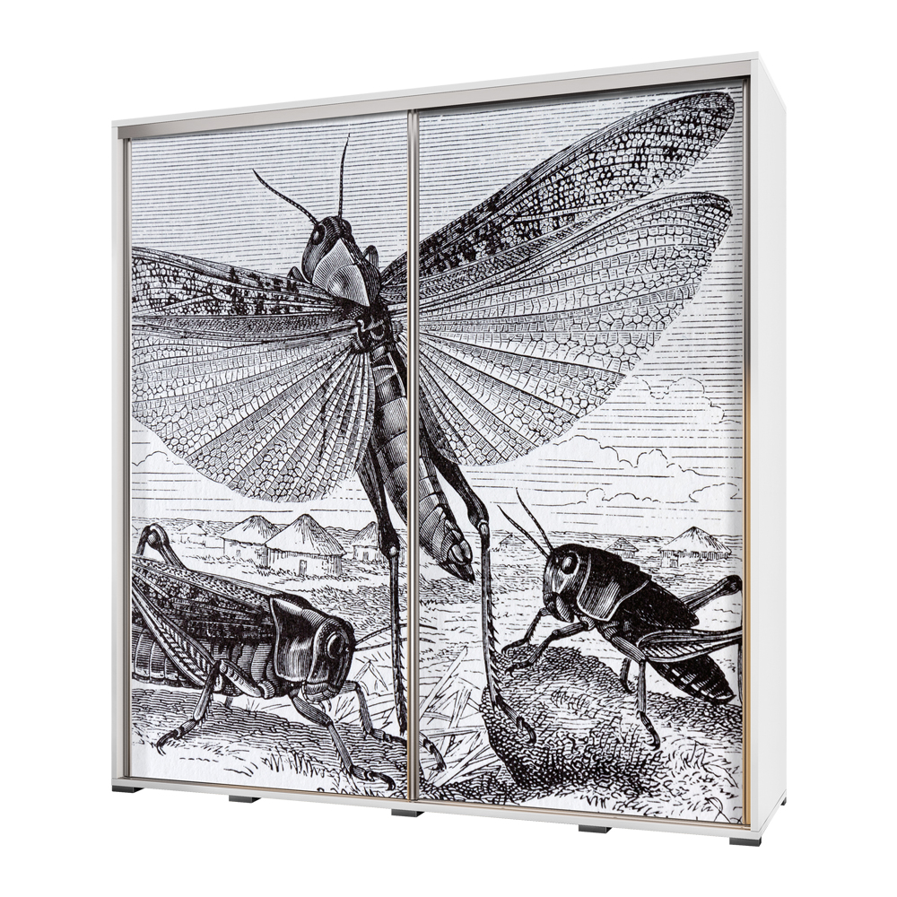 Szafa Wenecja 205 cm Rycina z owadami - zdjęcie 1