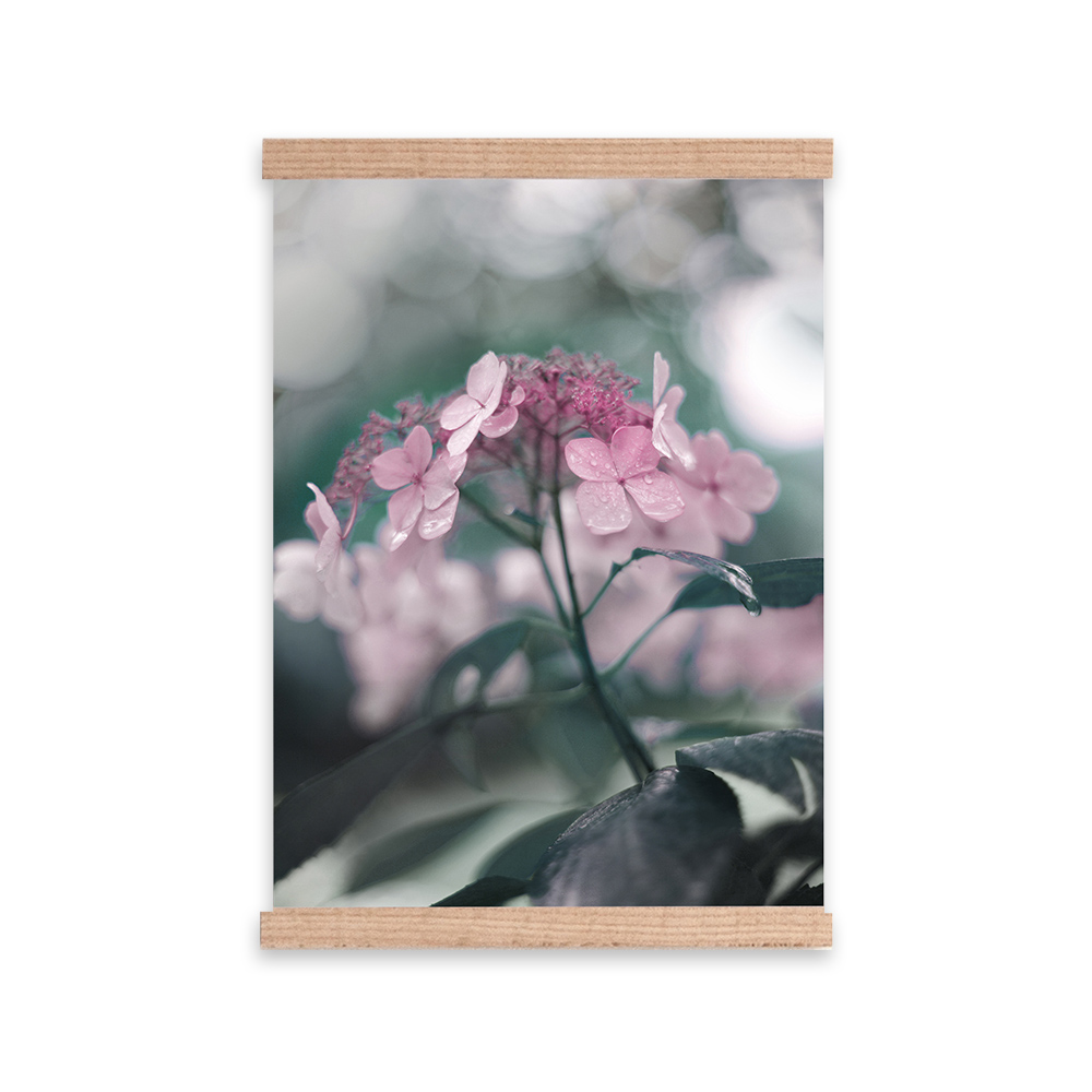 Plakat Tascha z wyborem rozmiaru i ramy - zdjęcie 1