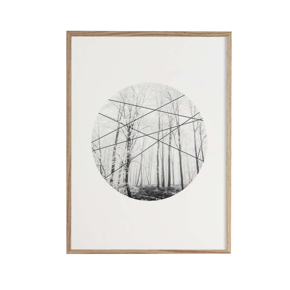 Plakat Tybalt z wyborem rozmiaru i ramy - zdjęcie 1