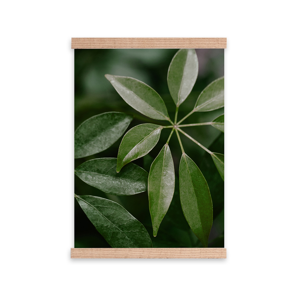 Plakat Redin z wyborem rozmiaru i ramy - zdjęcie 1