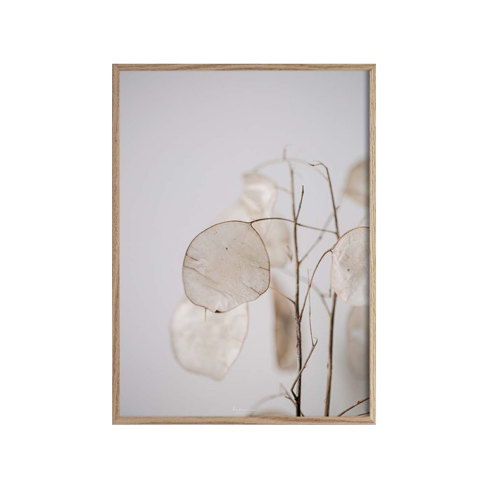 Plakat na ścianę Premiani z wyborem rozmiaru i ramy - zdjęcie 1